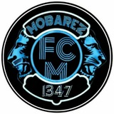 Telegram profile photo for FC_Mobarez