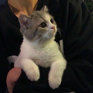 Telegram profile photo for Прайс / отзывы