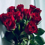 Telegram profile photo for قناه الملاك التربوي