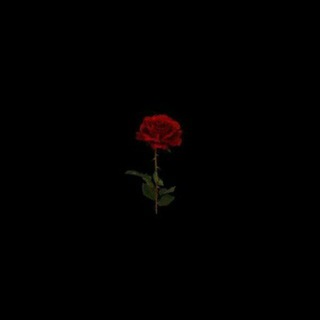 Telegram profile photo for 🎼Music-N-Quote🎼