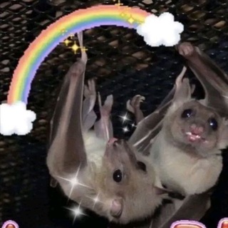 Telegram profile photo for bbybat