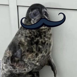 Telegram profile photo for зелёные пушистые мячики вотсап/супероснова #грелка для какашек ✌️