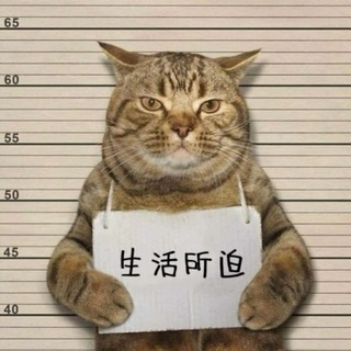 Telegram profile photo for 防骗中心_灰产汇