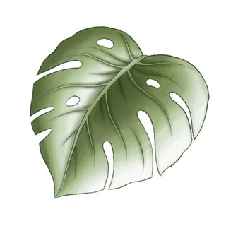 Telegram profile photo for Пространство ФЛОРА🌿Насекомоядные, растения, флорариумы и мастер-классы💚
