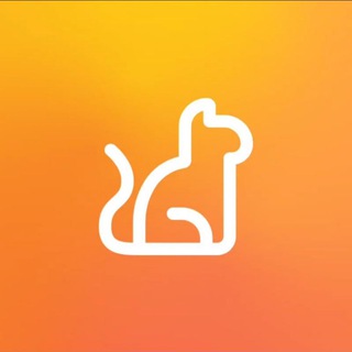 Telegram profile photo for miomoor Dev
