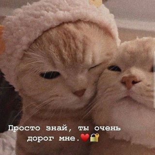 Telegram profile photo for ๊ง๐ผ๐_๐ป๐ธ๐ฑ๐ด๐๐๐๐ป๐ธ๐ต๐ด๊ง