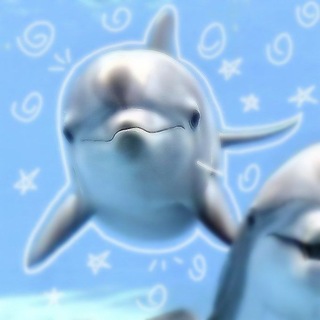Telegram profile photo for ๐๐๐๐๐๐๐ ๐๐ฎ๐ฌ๐ข๐ง๐๐ฌ๐ฌ ๐๐ซ๐จ๐ฃ๐๐๐ญ | ๐ต๐๐๐๐๐๐๐๐