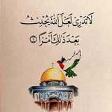 Telegram profile photo for فيديوهات دينية ❤️