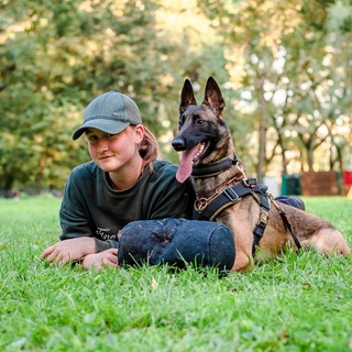 Telegram profile photo for Malinois Veis