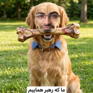 Telegram profile photo for .