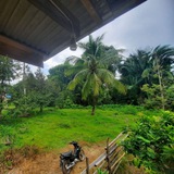 Telegram profile photo for Pembebasan Lahan Ahlussunnah Tolitoli 3