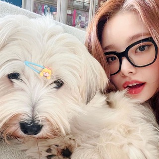 Telegram profile photo for jia vid