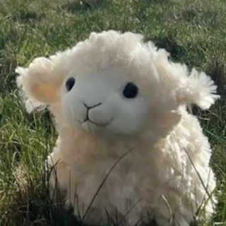 Telegram profile photo for WHAT THE HELL