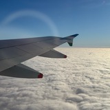 Telegram profile photo for ᴄᴏʟʟᴇᴄᴛᴏʀ