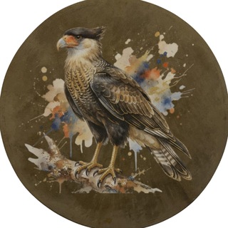 Telegram profile photo for Маркетинг с бубном