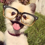 Telegram profile photo for Хохмач 🤣