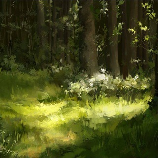 Telegram profile photo for |°• Лес • меняльник Севастополь •°|