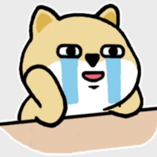 Telegram profile photo for SJTUG镜像站新闻