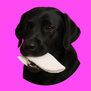 Telegram profile photo for Tapioca Normal