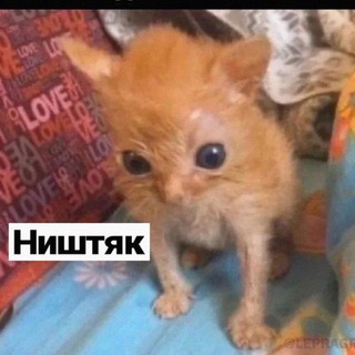 Telegram profile photo for Канал для отписок plohaya_mamka
