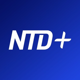Telegram profile photo for NTD+