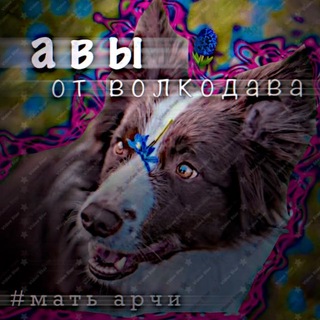Telegram profile photo for Авы от волкодава