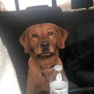 Telegram profile photo for $RICKY PORTAL