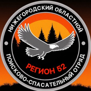 Telegram profile photo for НО ПСО «РЕГИОН 52»