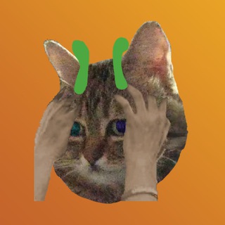 Telegram profile photo for mik0ry 👍