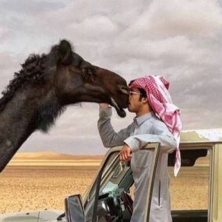 Telegram profile photo for ؏ﺷشــق ﺷشــﺒﯛﯛآنـي.