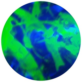 Telegram profile photo for ⎯ׄ⎯𓏺𓏺𓏺 𝖨 𝐡𝗎𝗋𝗍 𝓶𝗒𝗌𝖾𝗅𝖿.