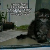 Telegram profile photo for лес самоубийц