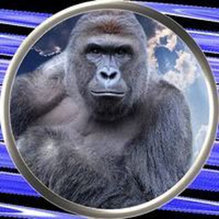 Telegram profile photo for Harambe Portal