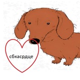 Telegram profile photo for собакасердце
