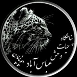 Telegram profile photo for پناهگاه حیات وحش عباس آبادچوپانان