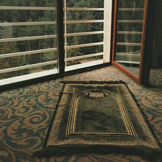 Telegram profile photo for حَبِيْبَة.