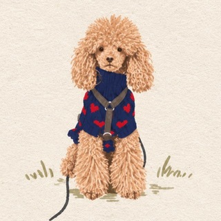 Telegram profile photo for Дэйли Томатик 🐩 🍅