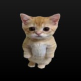 Telegram profile photo for Котики🐈🐈⬛😻