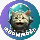 Telegram profile photo for Meow Portal