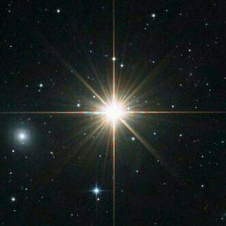 Telegram profile photo for Polar Star