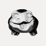 Telegram profile photo for ZHABA