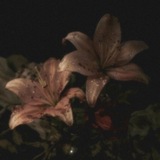 Telegram profile photo for 𝐑