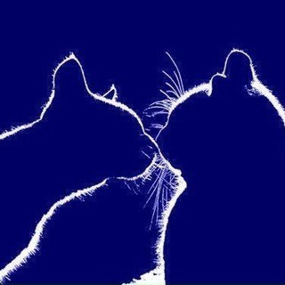 Telegram profile photo for В мире животных ~ Кошачье царство