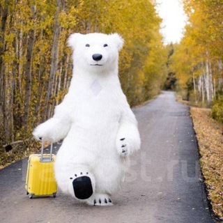 Telegram profile photo for 🐻❄️Медвежьи моменты🐻❄️