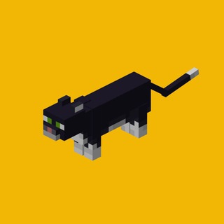 Telegram profile photo for 🐈⬛
