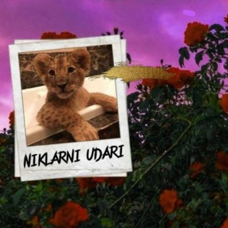 Telegram profile photo for ⚜🌸NIKLARNI🐊UDARI🌿⚜