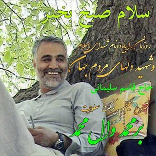 Telegram profile photo for کانال شخصی محمود نظری