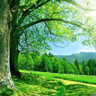 Telegram profile photo for دروب السعاده 💚