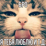 Telegram profile photo for прайс шадоуфлары