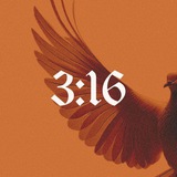 Telegram profile photo for 3:16